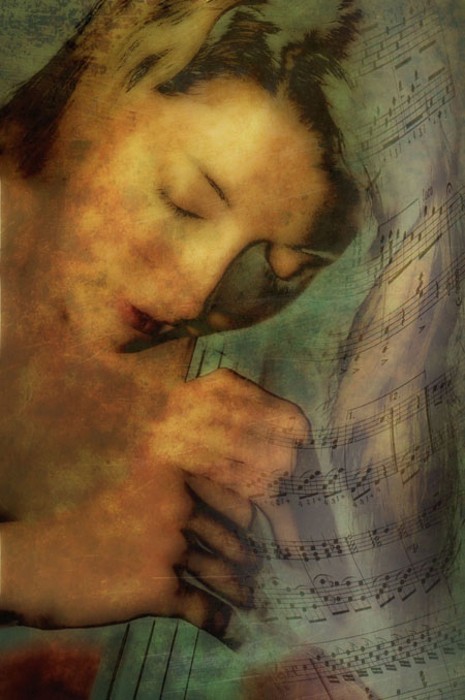 Serafina's Secret